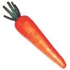 CARROT FOAM 5 INCH -Magic Costume World fm25214