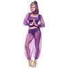 DREAMY GENIE ADULT SM MED 2 8 -Magic Costume World fw121764